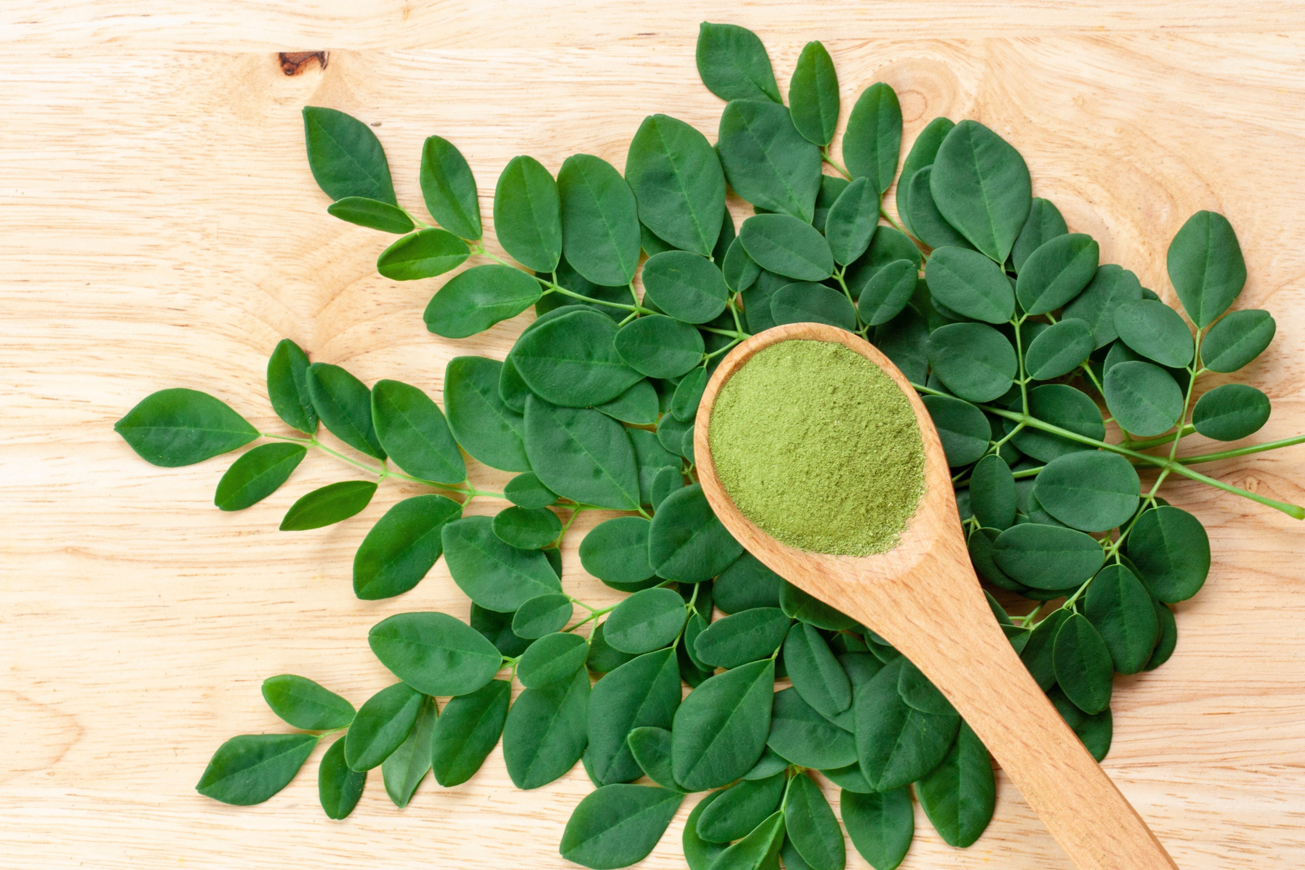 Moringa Nutrition: 6 Essential Compounds for a Healthy Body and Mind - Kuli Kuli Foods Moringa Nutrition: 6 Essential Compounds for a Healthy Body and Mind - Kuli Kuli Foods
