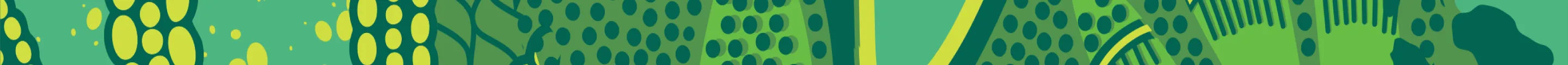 Kuli Kuli Pattern