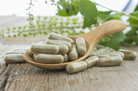 Moringa Powder vs. Moringa Capsules: Which Should You Choose?