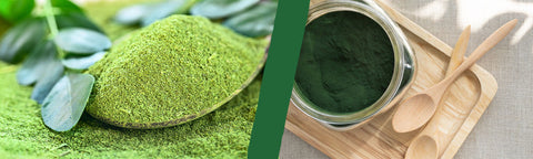 Battle of The Greens: Moringa vs Spirulina