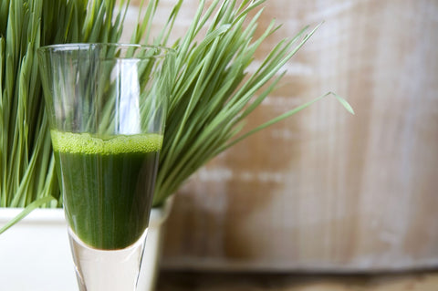 Battle of The Greens: Moringa vs Wheatgrass