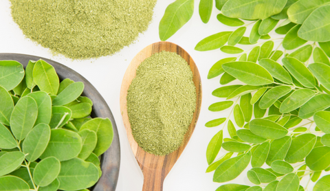 Moringa Nutrition: 6 Essential Compounds for a Healthy Body and Mind
