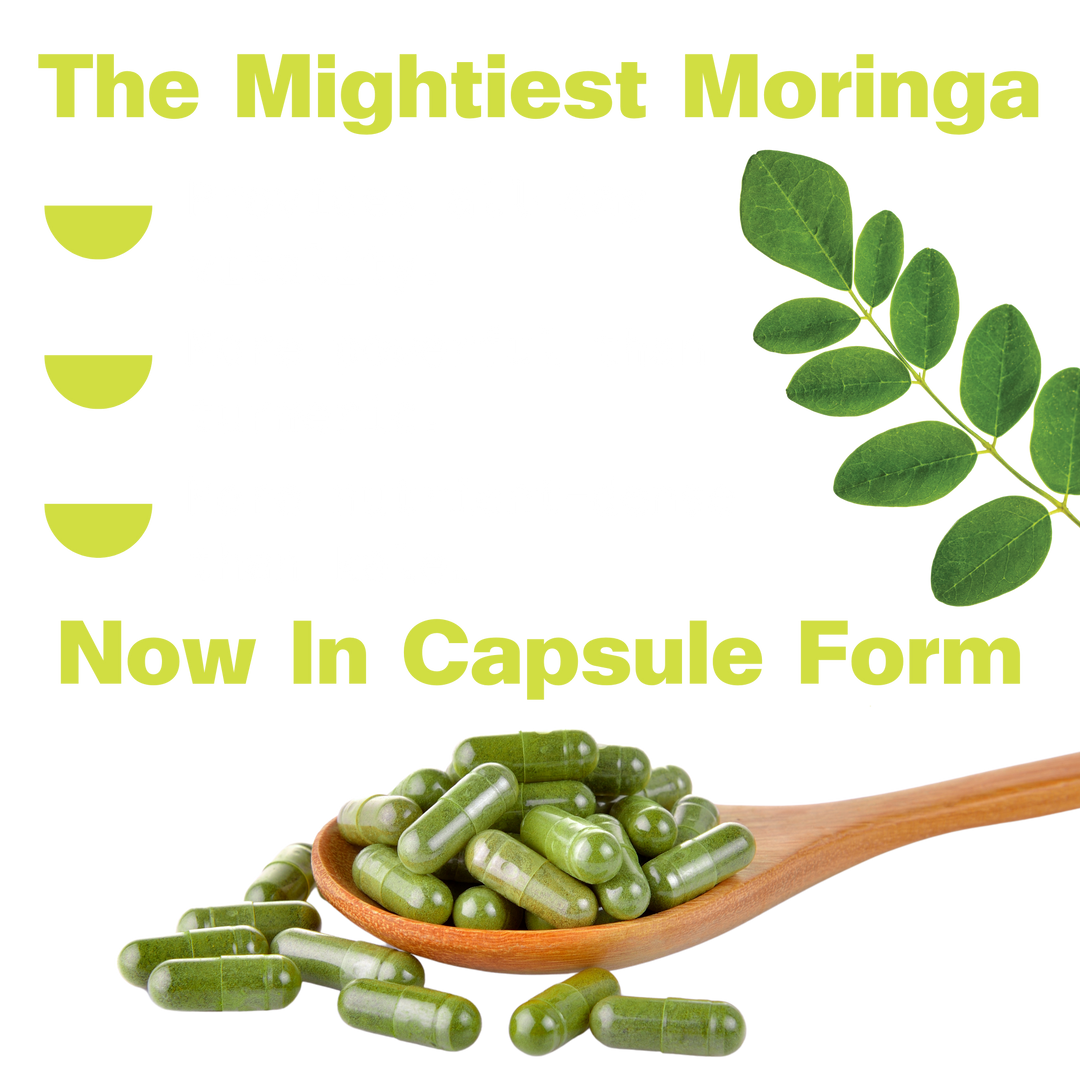 Organic Pure Moringa Powder - Capsules – Kuli Kuli Foods