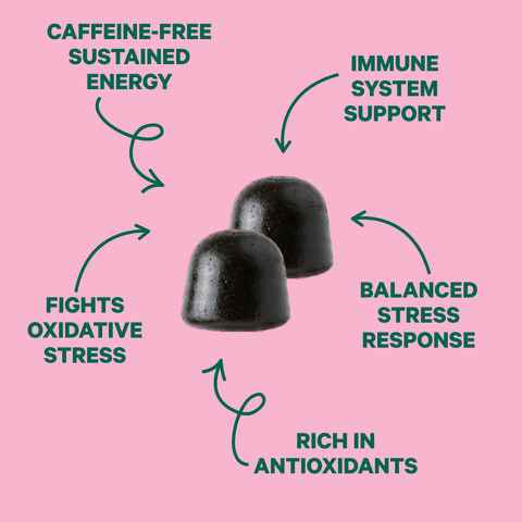 Two dark Moringa & Chaga gummies with callouts: caffeine-free sustained energy, immune support, fights oxidative stress, balanced stress response, rich in antioxidants