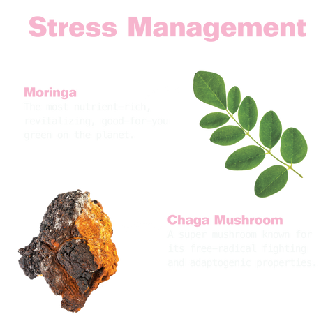 Moringa leaf, described as the most nutrient-rich green on the planet, and chaga mushroom, known for free-radical fighting and adaptogenic properties