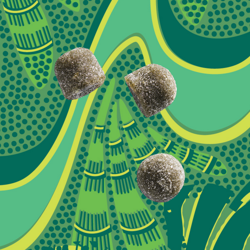 Kuli Kuli Superfood Gummies - Green Apple Flavor