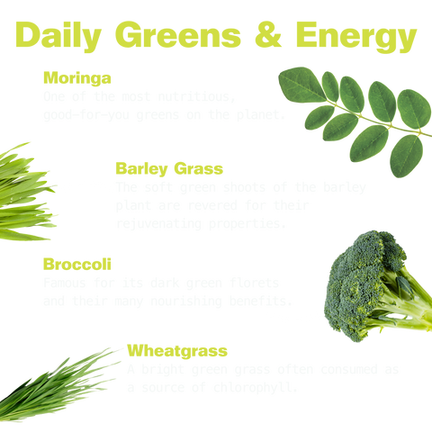 Ingredient guide for Daily Greens & Energy gummies showing moringa leaves, barley grass, broccoli, and wheatgrass, each with a short description.