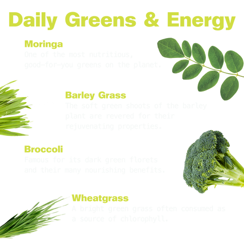 "Daily Greens & Energy": moringa, one of the most nutritious greens; barley grass, revered for its rejuvenating properties; broccoli, known for its nourishing florets; and wheatgrass, a source of chlorophyll.