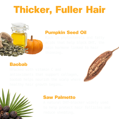 "Thicker, Fuller Hair" ingredient graphic: pumpkin seed oil with phytosterols that help block DHT, baobab with vitamin C and antioxidants that support collagen and scalp health, and saw palmetto, a natural DHT blocker that helps reduce shedding.