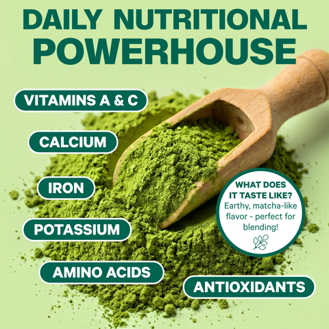 Organic Pure Moringa Powder (7.4 oz)