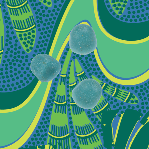Sea Moss & Blue Spirulina Superfood Gummies