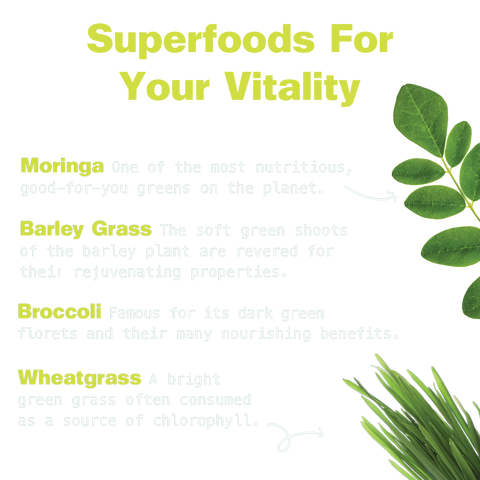 Superfood Blends - Variety Pack
