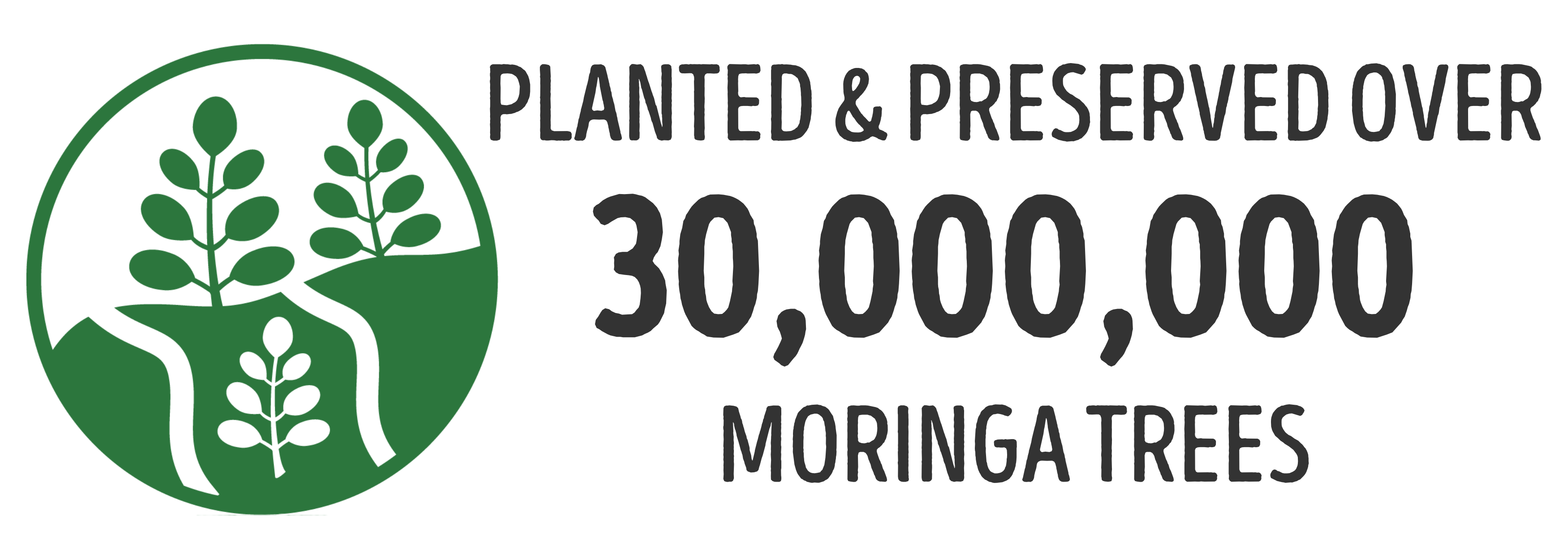 Planted over 24,600,000 Moringa Trees