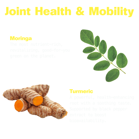 Joint Health & Mobility ingredients: moringa, a nutrient-rich green, and turmeric root, paired with black pepper extract to boost bioavailability.