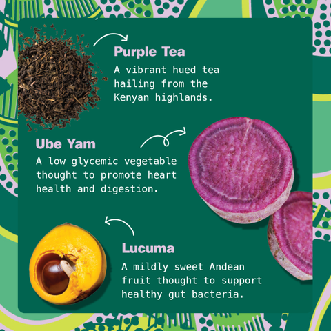 Ingredient spotlight showing purple tea from the Kenyan highlands, ube yam for heart health and digestion, and lucuma, a mildly sweet Andean fruit for healthy gut bacteria.