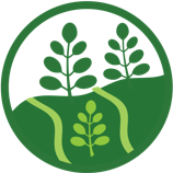 
              
                    Sourcing from Remote & Rural Areas
                    