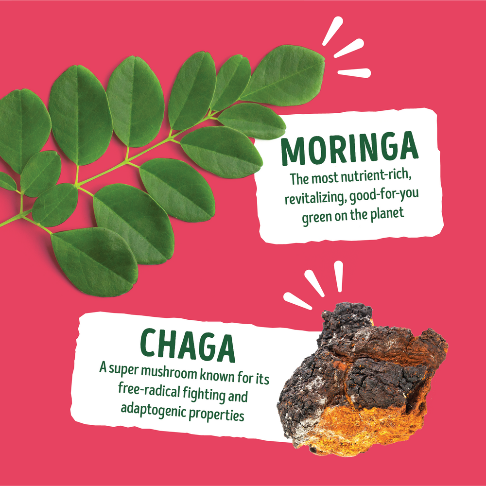 Moringa & Chaga Mushroom SuperGummies - Berry Flavor